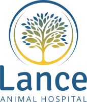 Lance Animal Hospital
